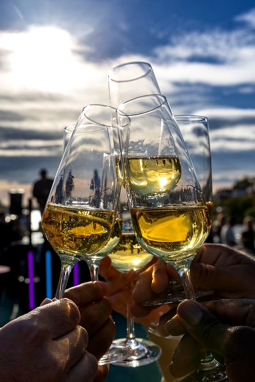 Toasting glasses at a private event with live music by Isonil